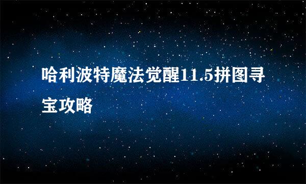 哈利波特魔法觉醒11.5拼图寻宝攻略