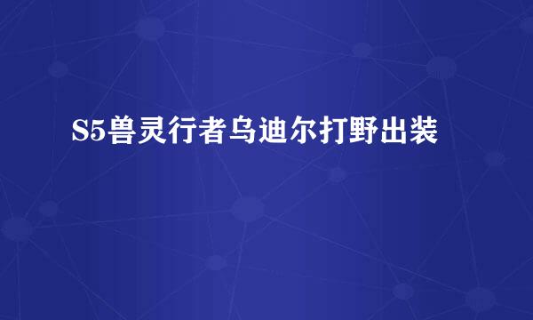 S5兽灵行者乌迪尔打野出装
