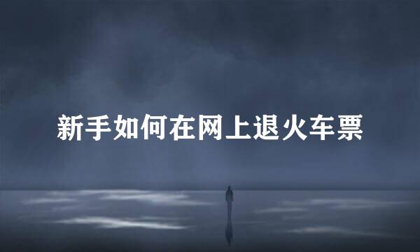 新手如何在网上退火车票