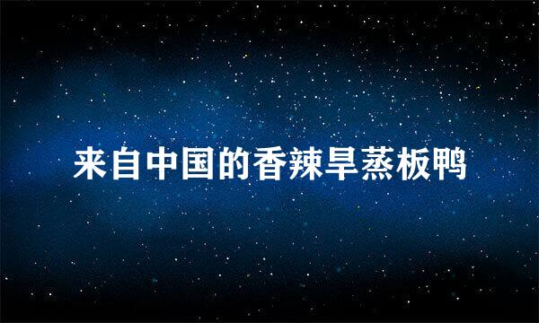 来自中国的香辣旱蒸板鸭