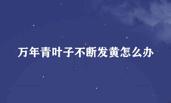 万年青叶子不断发黄怎么办