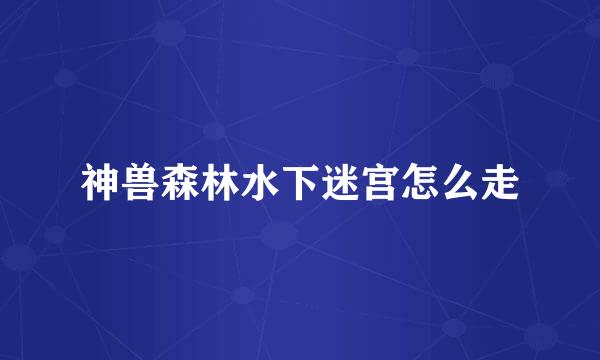 神兽森林水下迷宫怎么走