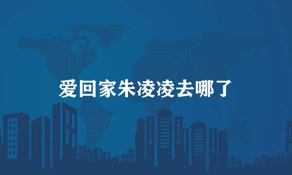 爱回家朱凌凌去哪了