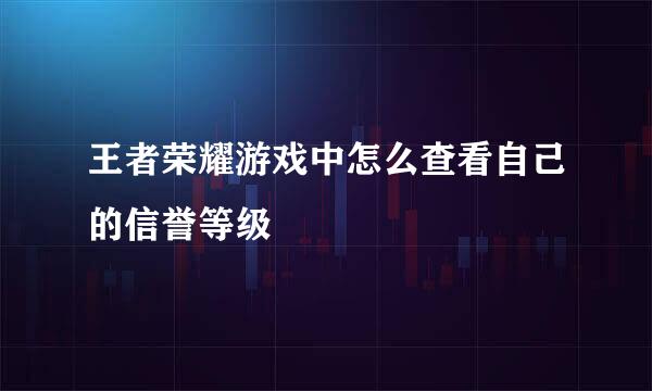 王者荣耀游戏中怎么查看自己的信誉等级