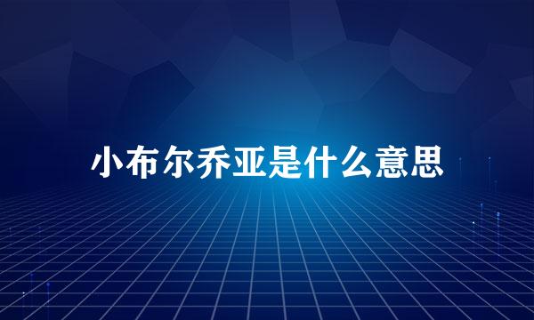 小布尔乔亚是什么意思