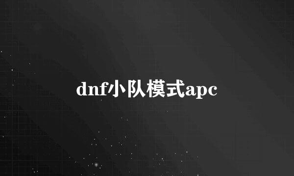 dnf小队模式apc