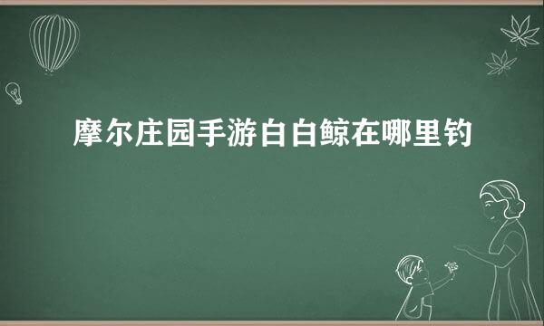 摩尔庄园手游白白鲸在哪里钓