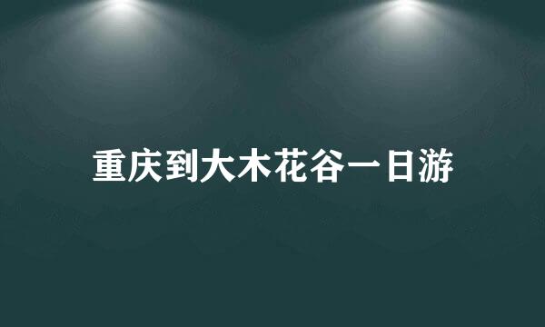 重庆到大木花谷一日游