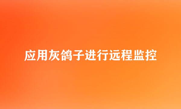 应用灰鸽子进行远程监控