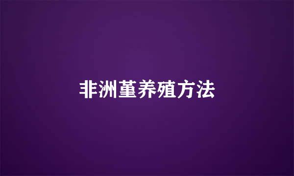 非洲堇养殖方法