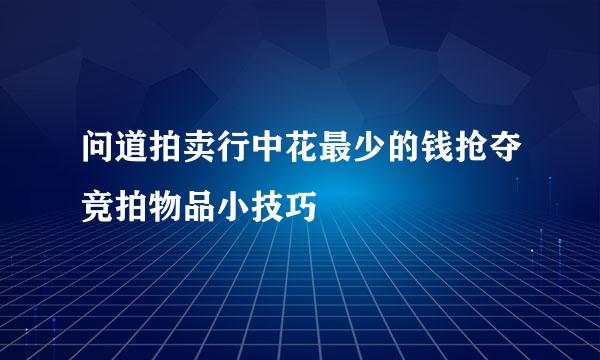 问道拍卖行中花最少的钱抢夺竞拍物品小技巧