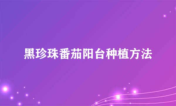 黑珍珠番茄阳台种植方法