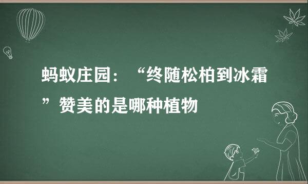 蚂蚁庄园：“终随松柏到冰霜”赞美的是哪种植物