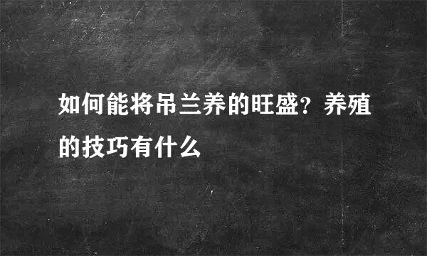 如何能将吊兰养的旺盛？养殖的技巧有什么