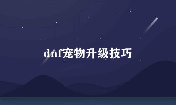 dnf宠物升级技巧