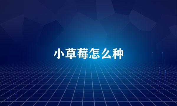 小草莓怎么种