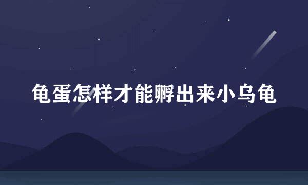 龟蛋怎样才能孵出来小乌龟