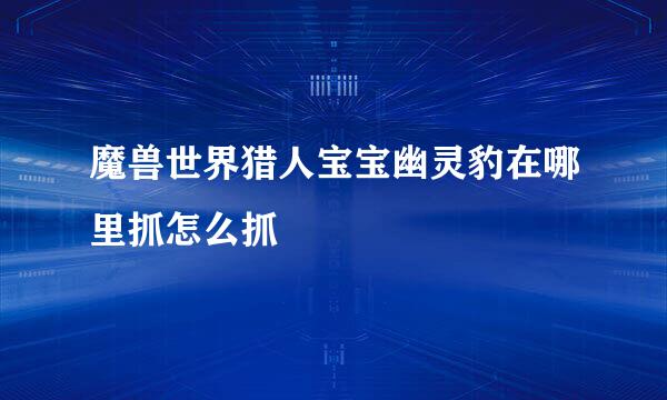 魔兽世界猎人宝宝幽灵豹在哪里抓怎么抓
