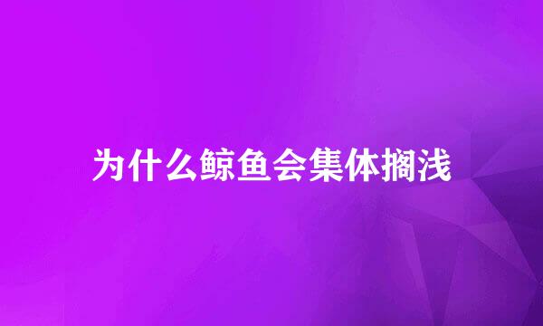 为什么鲸鱼会集体搁浅