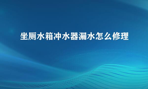 坐厕水箱冲水器漏水怎么修理