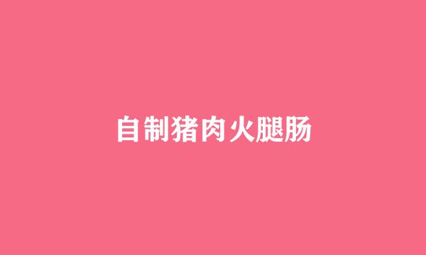 自制猪肉火腿肠