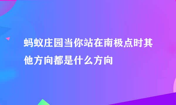 蚂蚁庄园当你站在南极点时其他方向都是什么方向