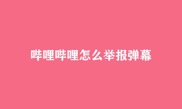 哔哩哔哩怎么举报弹幕