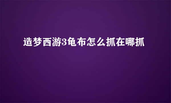 造梦西游3龟布怎么抓在哪抓