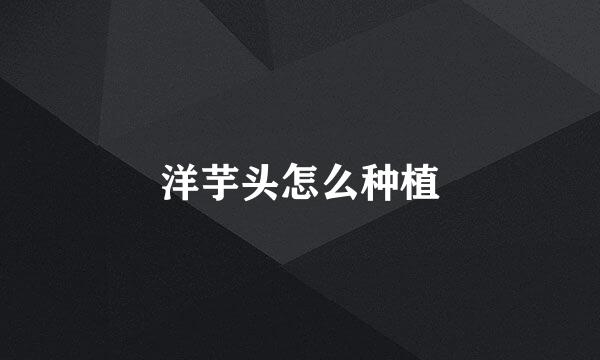 洋芋头怎么种植