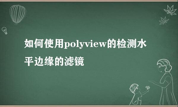 如何使用polyview的检测水平边缘的滤镜