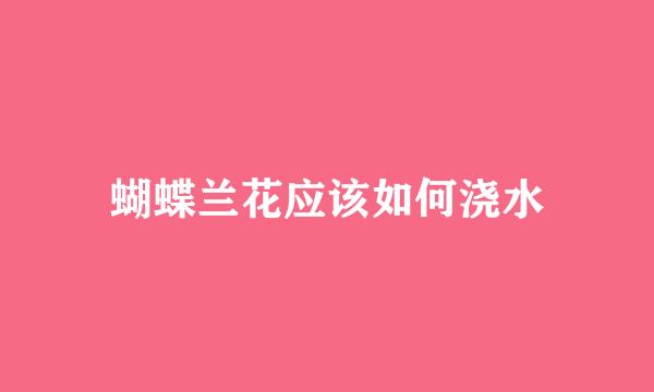 蝴蝶兰花应该如何浇水