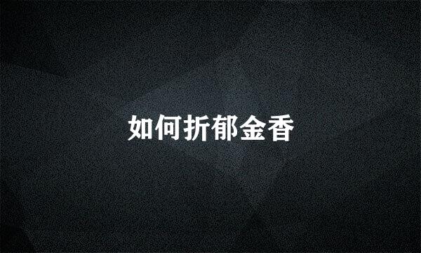 如何折郁金香