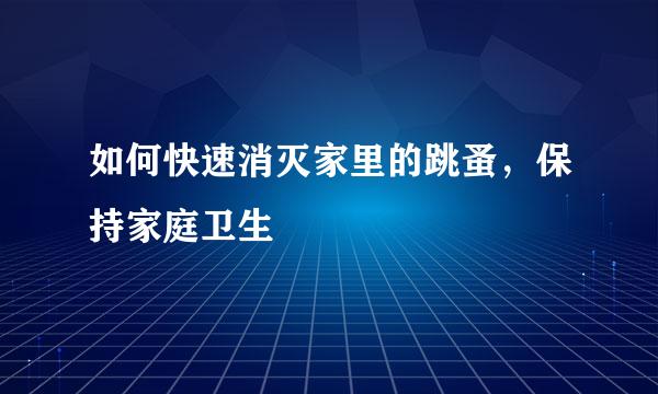 如何快速消灭家里的跳蚤,保持家庭卫生