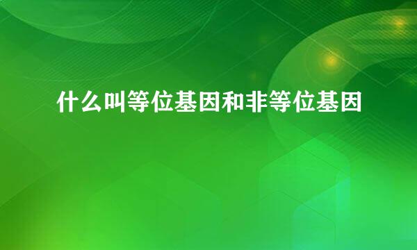 什么叫等位基因和非等位基因