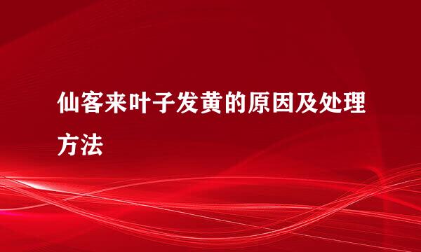 仙客来叶子发黄的原因及处理方法
