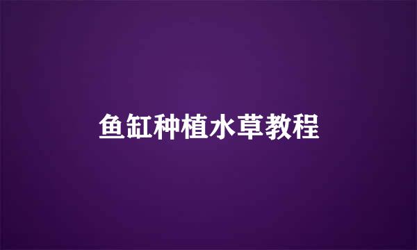鱼缸种植水草教程