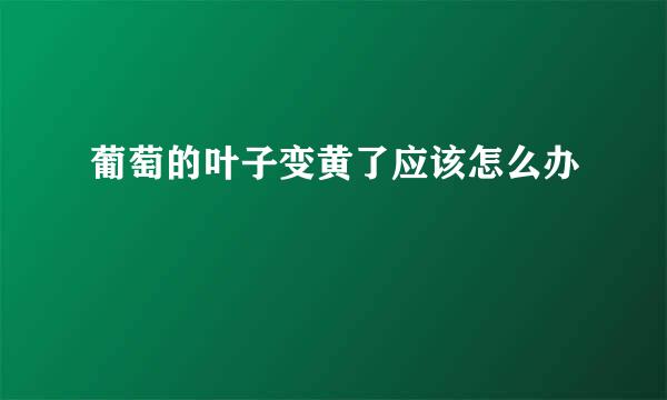 葡萄的叶子变黄了应该怎么办