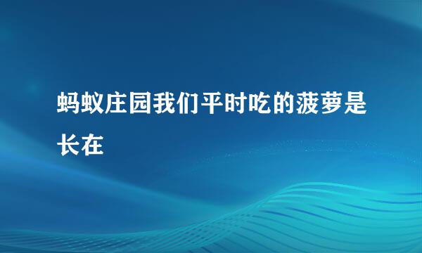 蚂蚁庄园我们平时吃的菠萝是长在