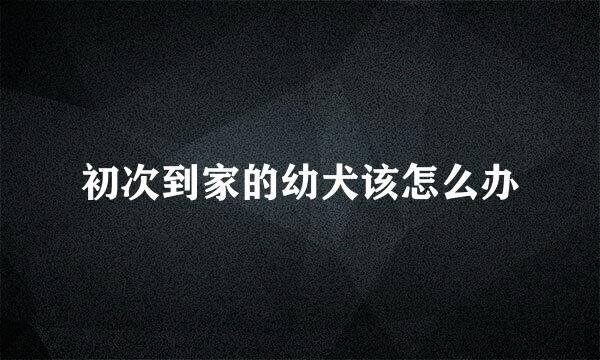 初次到家的幼犬该怎么办