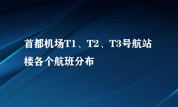首都机场T1、T2、T3号航站楼各个航班分布