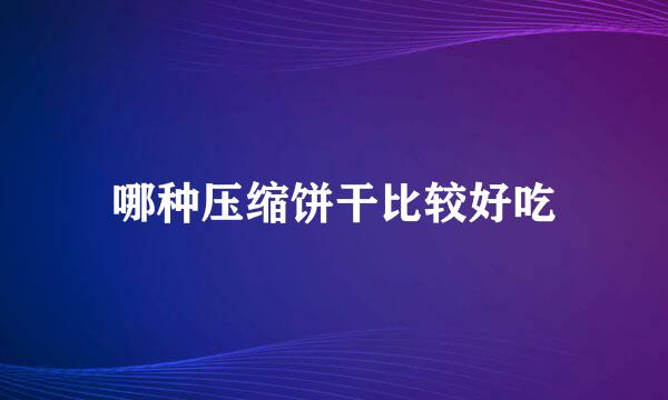 哪种压缩饼干比较好吃