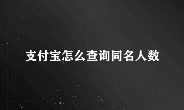 支付宝怎么查询同名人数