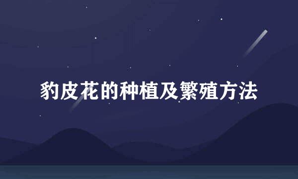 豹皮花的种植及繁殖方法