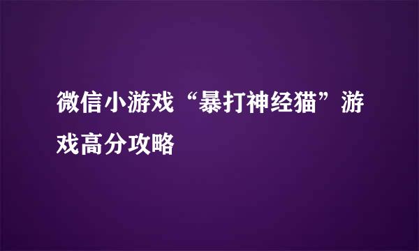 微信小游戏“暴打神经猫”游戏高分攻略