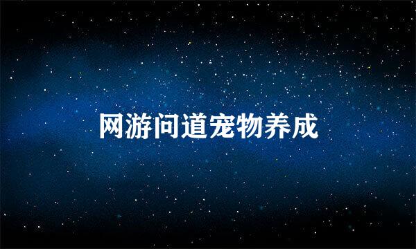 网游问道宠物养成