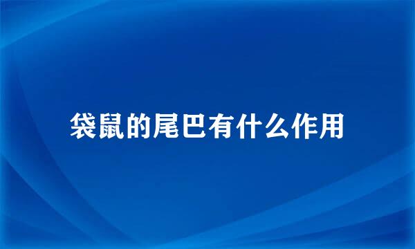 袋鼠的尾巴有什么作用