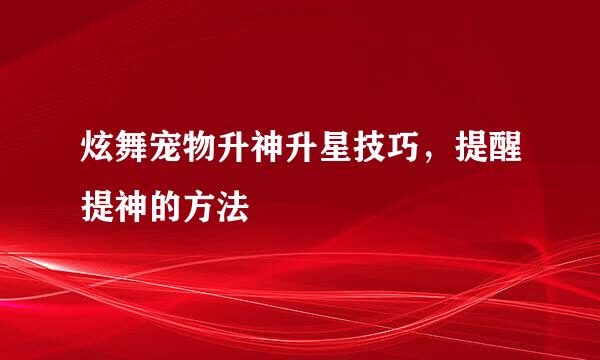 炫舞宠物升神升星技巧，提醒提神的方法
