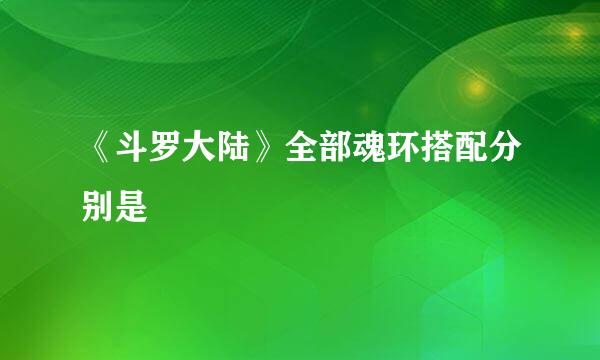 《斗罗大陆》全部魂环搭配分别是