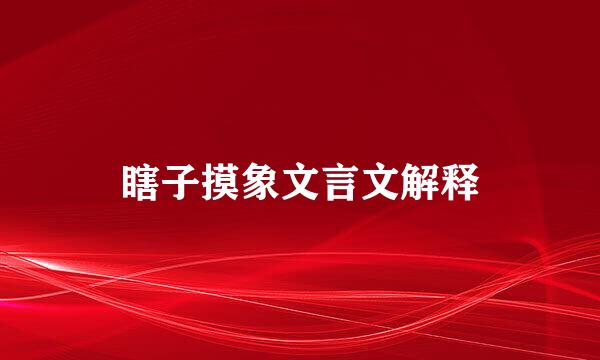 瞎子摸象文言文解释