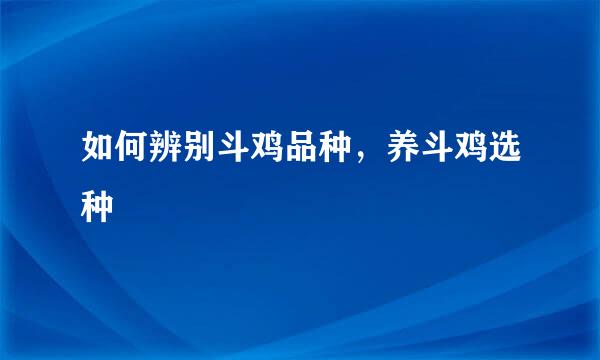 如何辨别斗鸡品种，养斗鸡选种